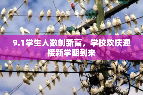 9.1学生人数创新高，学校欢庆迎接新学期到来