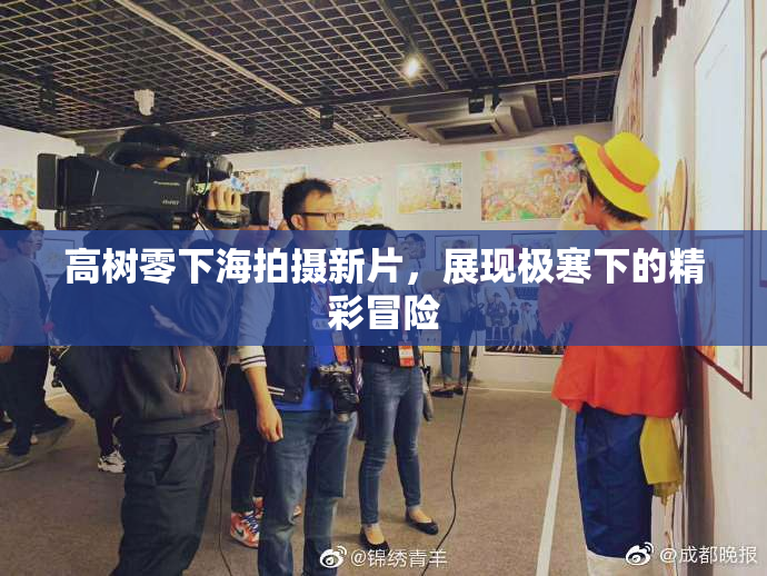 高树零下海拍摄新片，展现极寒下的精彩冒险