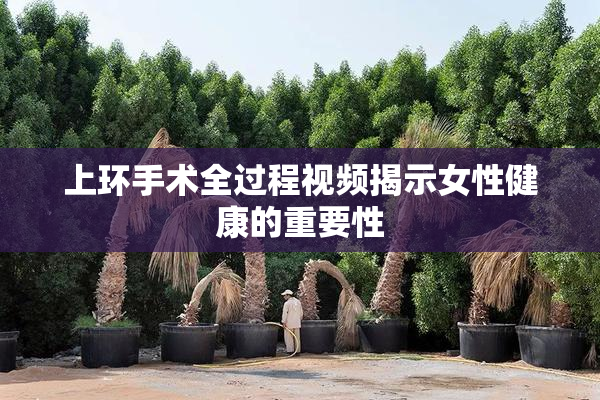 上环手术全过程视频揭示女性健康的重要性