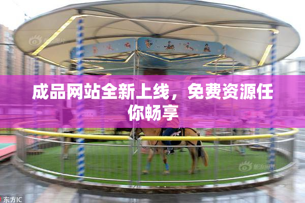 成品网站全新上线，免费资源任你畅享