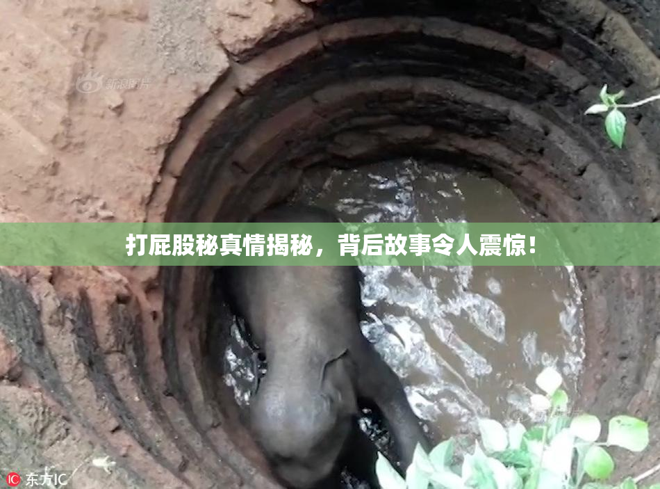 打屁股秘真情揭秘，背后故事令人震惊！
