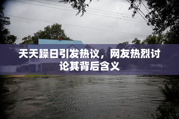 天天躁日引发热议，网友热烈讨论其背后含义