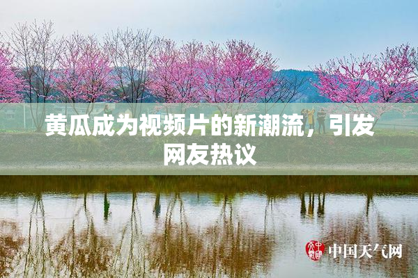 黄瓜成为视频片的新潮流，引发网友热议