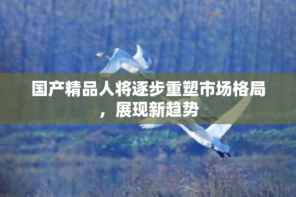 国产精品人将逐步重塑市场格局，展现新趋势