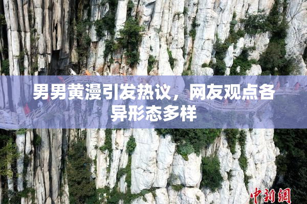 男男黄漫引发热议，网友观点各异形态多样
