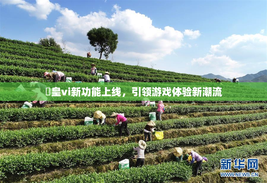 嘼皇vi新功能上线，引领游戏体验新潮流