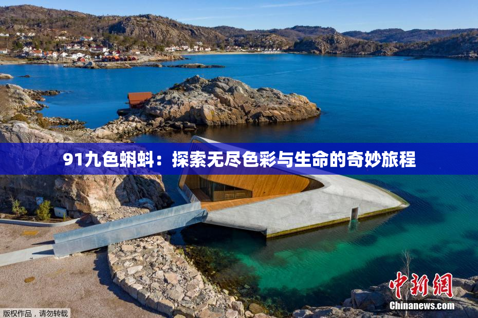 91九色蝌蚪：探索无尽色彩与生命的奇妙旅程