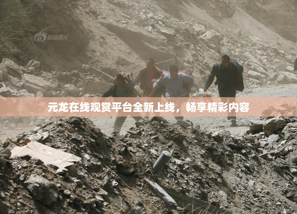 元龙在线观赏平台全新上线，畅享精彩内容