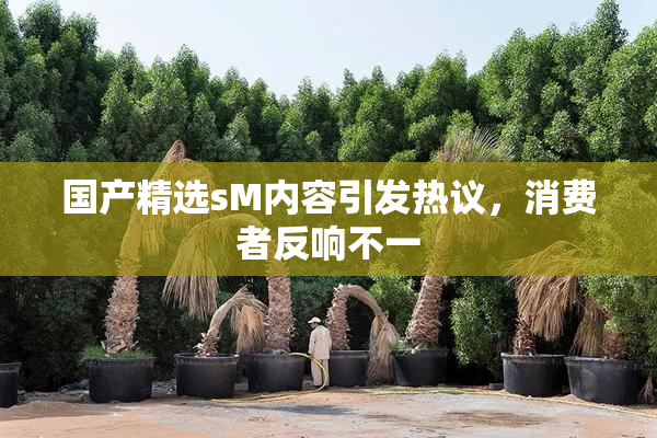 国产精选sM内容引发热议，消费者反响不一
