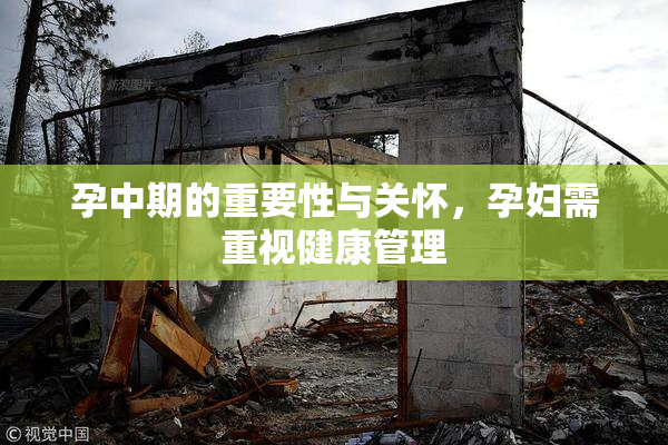 孕中期的重要性与关怀，孕妇需重视健康管理
