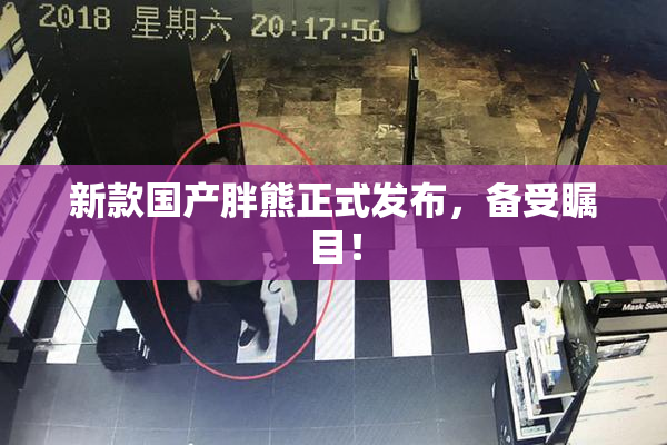 新款国产胖熊正式发布，备受瞩目！