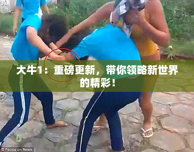 大牛1：重磅更新，带你领略新世界的精彩！