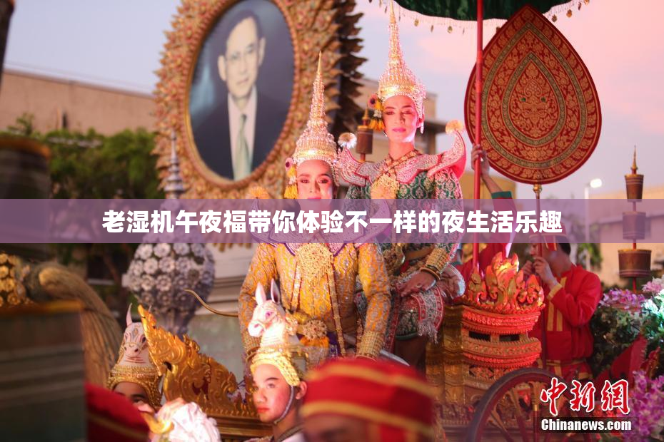 老湿机午夜福带你体验不一样的夜生活乐趣