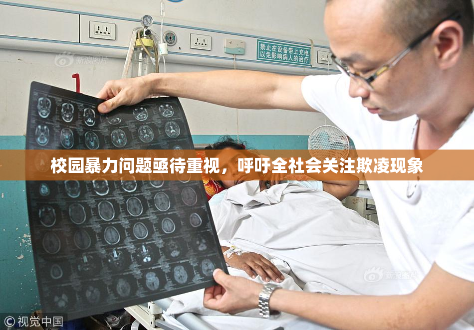 校园暴力问题亟待重视，呼吁全社会关注欺凌现象