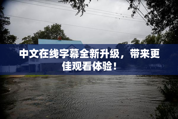 中文在线字幕全新升级，带来更佳观看体验！
