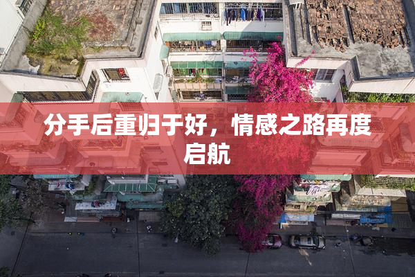 分手后重归于好，情感之路再度启航