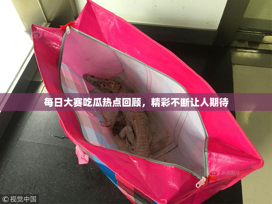 每日大赛吃瓜热点回顾，精彩不断让人期待