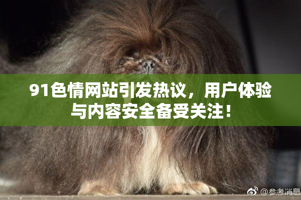 91色情网站引发热议，用户体验与内容安全备受关注！