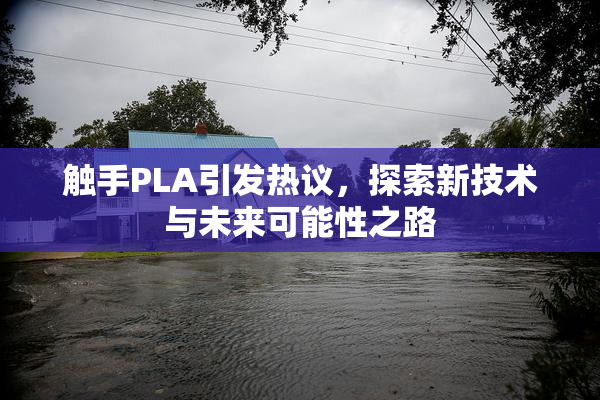 触手PLA引发热议，探索新技术与未来可能性之路