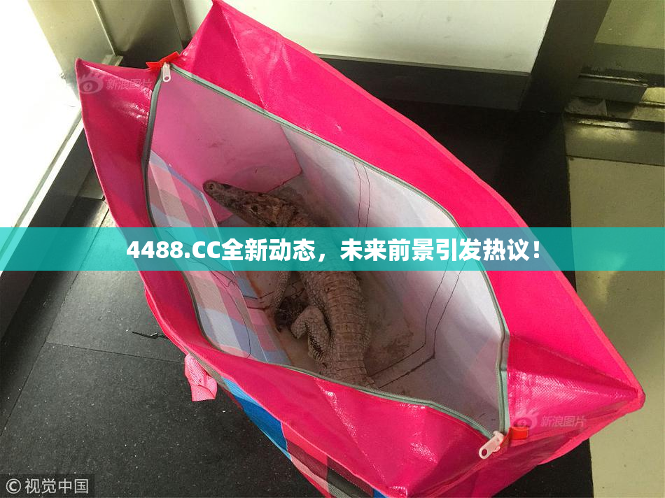 4488.CC全新动态，未来前景引发热议！