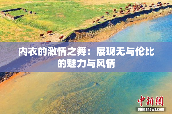 内衣的激情之舞：展现无与伦比的魅力与风情