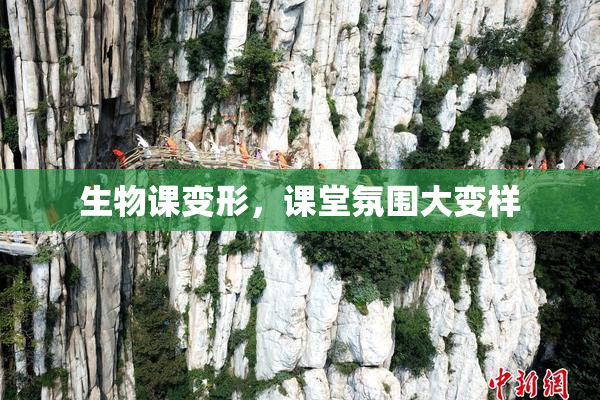 生物课变形，课堂氛围大变样