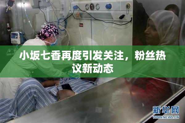 小坂七香再度引发关注，粉丝热议新动态