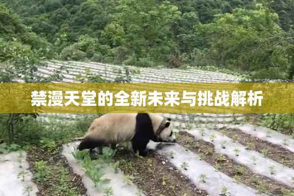 禁漫天堂的全新未来与挑战解析