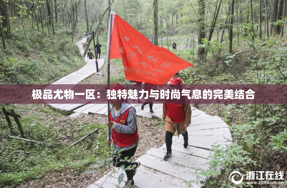 极品尤物一区：独特魅力与时尚气息的完美结合