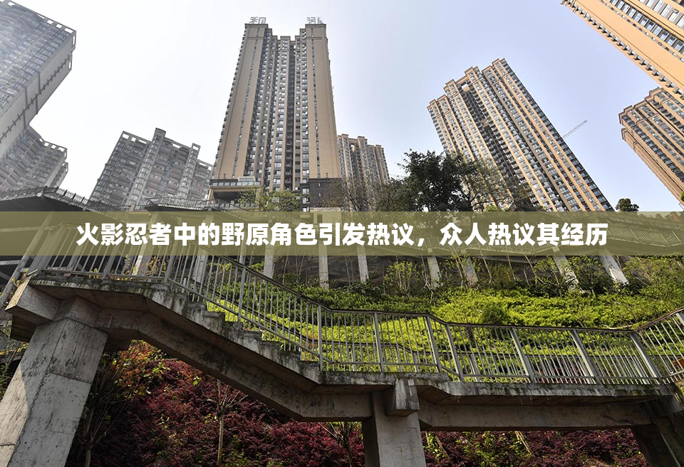 火影忍者中的野原角色引发热议，众人热议其经历