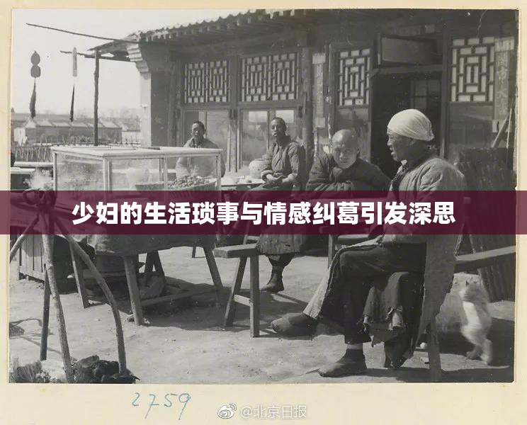 少妇的生活琐事与情感纠葛引发深思