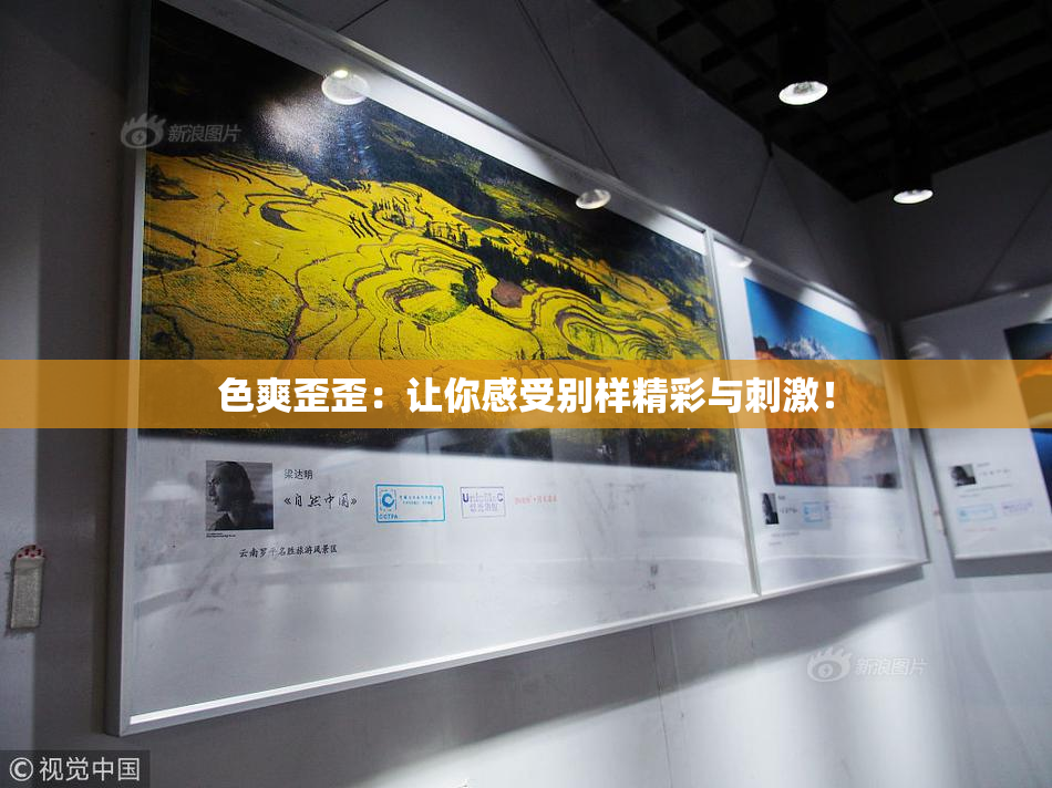 色爽歪歪：让你感受别样精彩与刺激！