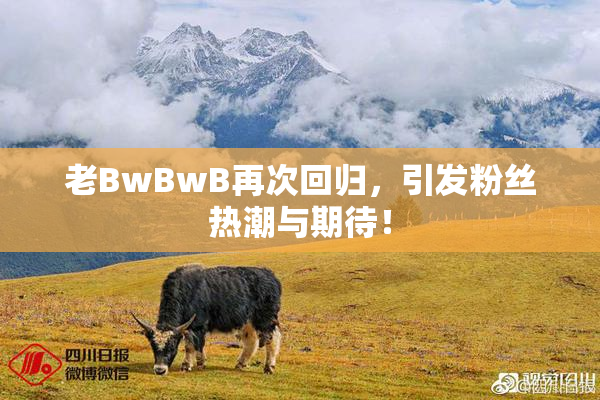 老BwBwB再次回归，引发粉丝热潮与期待！
