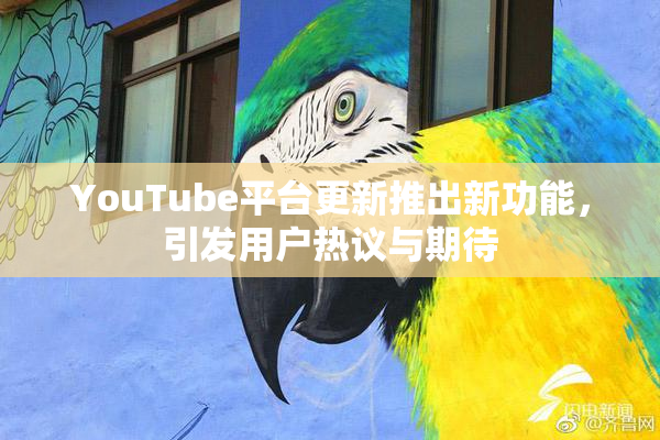 YouTube平台更新推出新功能，引发用户热议与期待
