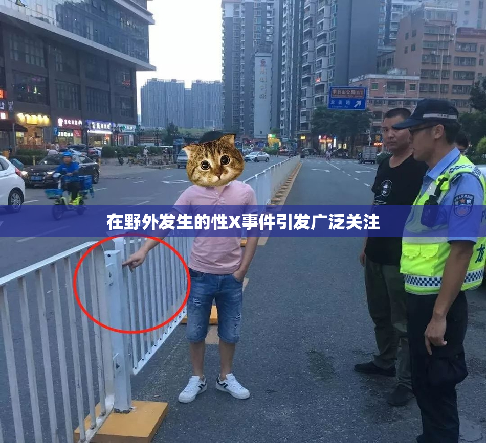 在野外发生的性X事件引发广泛关注