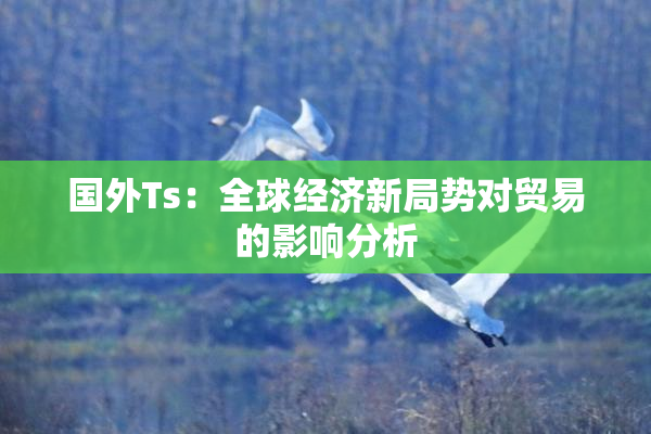 国外Ts：全球经济新局势对贸易的影响分析
