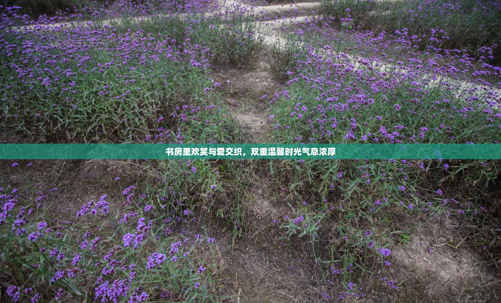 书房里欢笑与爱交织，双重温馨时光气息浓厚