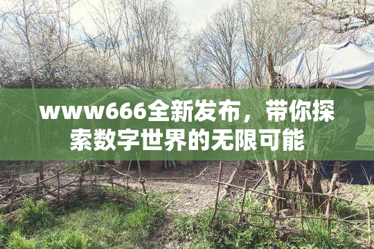 www666全新发布，带你探索数字世界的无限可能