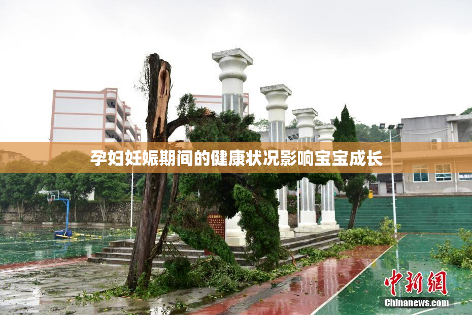 孕妇妊娠期间的健康状况影响宝宝成长