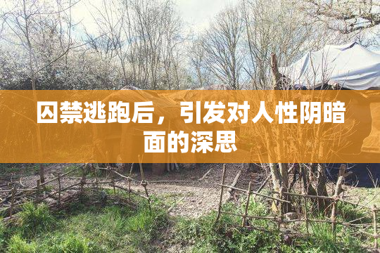 囚禁逃跑后，引发对人性阴暗面的深思
