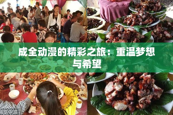成全动漫的精彩之旅：重温梦想与希望