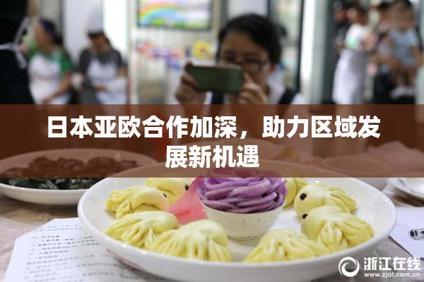 日本亚欧合作加深，助力区域发展新机遇