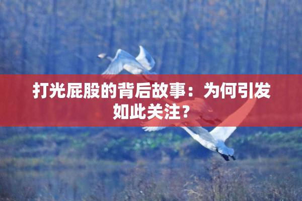 打光屁股的背后故事：为何引发如此关注？