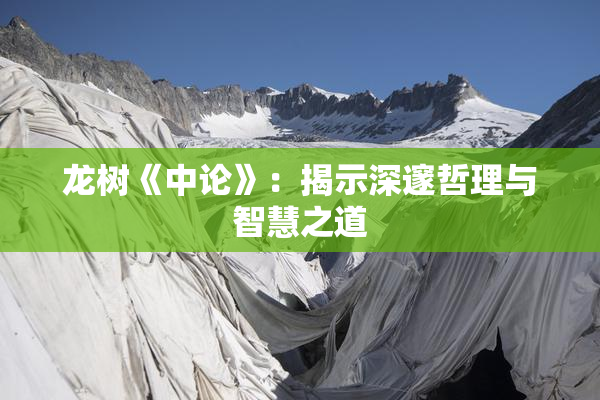 龙树《中论》：揭示深邃哲理与智慧之道