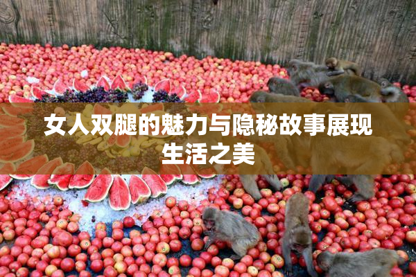 女人双腿的魅力与隐秘故事展现生活之美