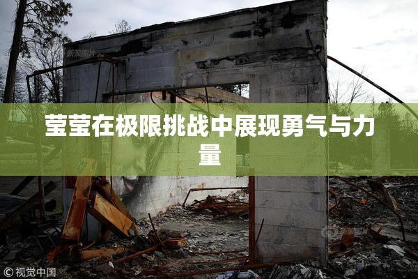 莹莹在极限挑战中展现勇气与力量