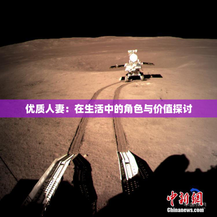 优质人妻：在生活中的角色与价值探讨