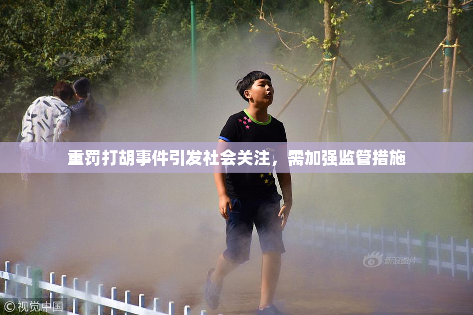 重罚打胡事件引发社会关注，需加强监管措施
