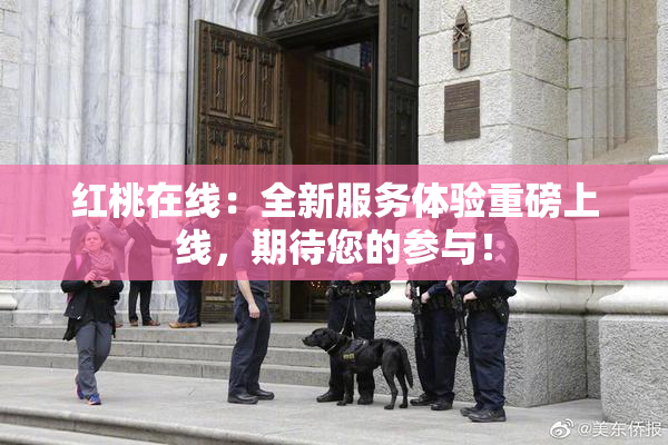 红桃在线：全新服务体验重磅上线，期待您的参与！