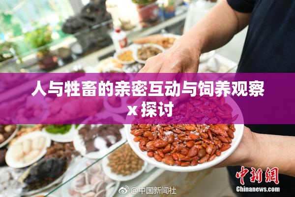 人与牲畜的亲密互动与饲养观察ⅹ探讨
